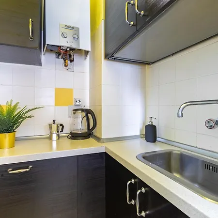 Apartament Urban House *